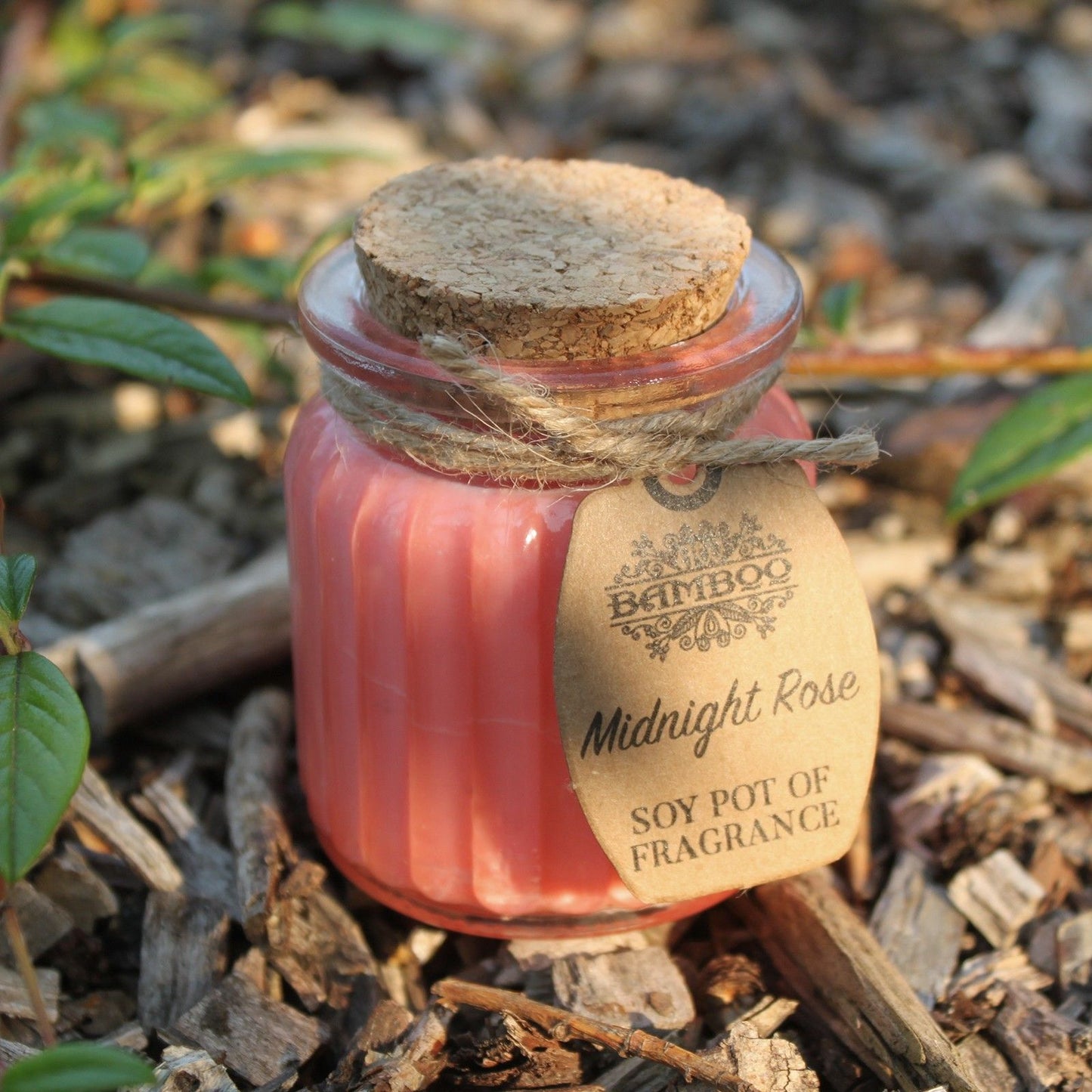 Midnight Rose Fragrance Candle
