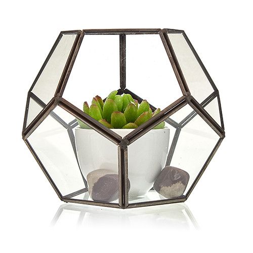 Octagon Glass Terrarium