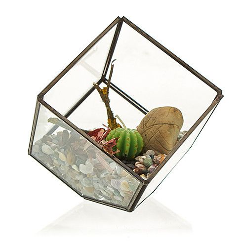Cube on Corner Glass Terrarium